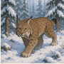 lynx.png