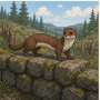 weasels.png